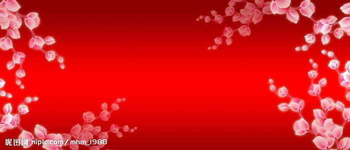 柏林托若学院机械工程文凭证书